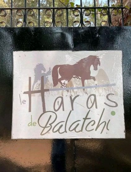 Haras de Balatchi – Ranch touristique au cœur des Monts Bamboutos