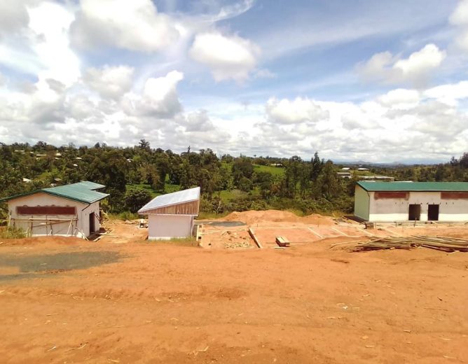 Bafounda : construction d’une usine d’extraction d’avocat